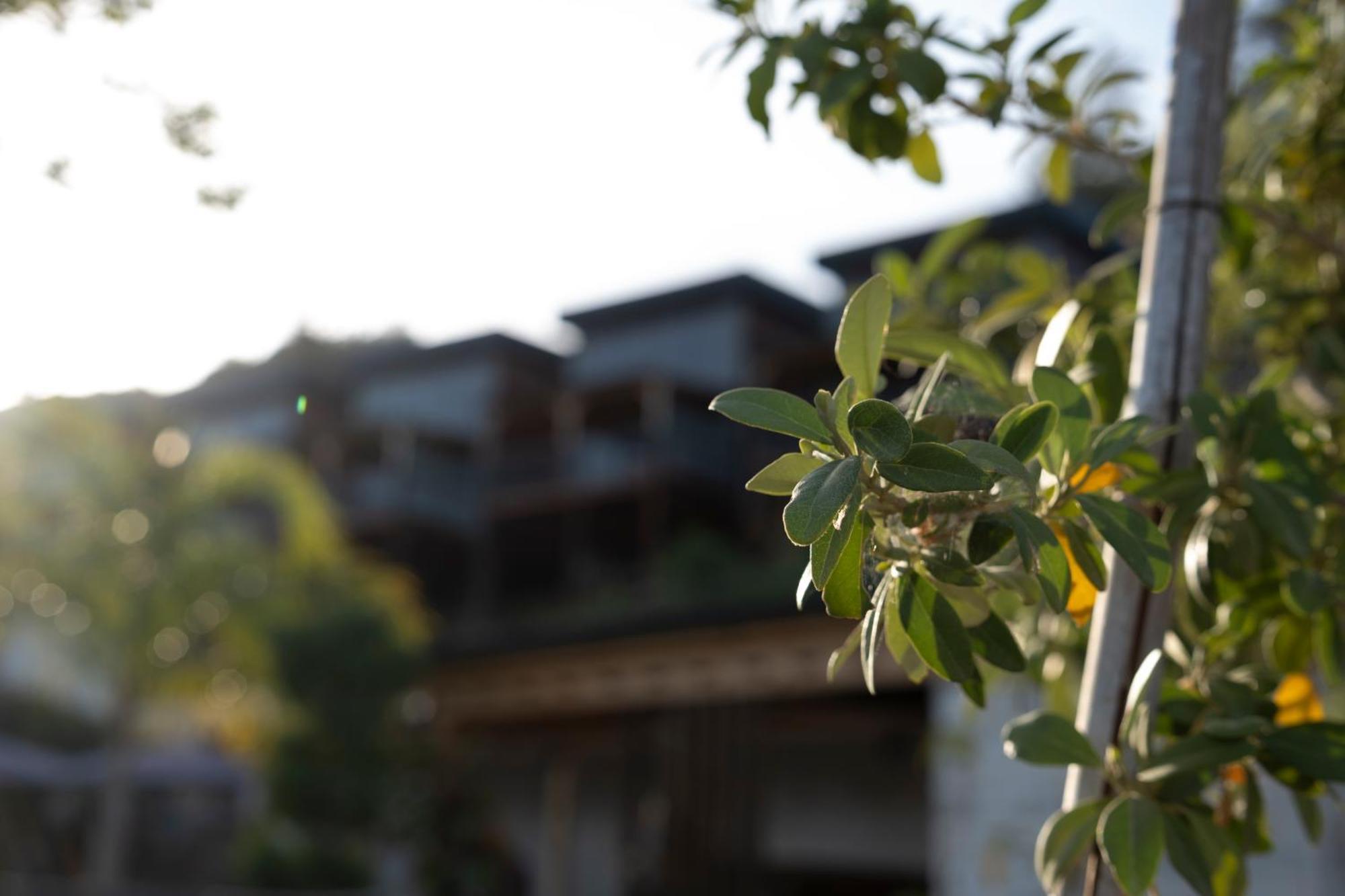 La Veranda Villas Kumluca Екстер'єр фото